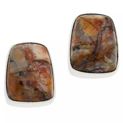 Jay King Sterling Silver Shitake Stone Stud Earrings