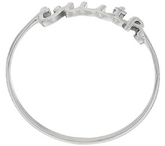 Stainless Steel Truth Script Bangle Size 8-1/4"