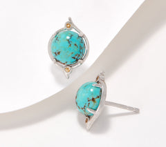 Generation Gems Sterling Silver Turquoise & Citrine Stud Earrings