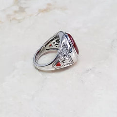 Aldo Orta Sterling Silver Red Agate Icon Ring Size 8 QVC $188