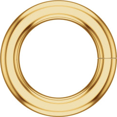 10K Yellow 4 mm ID Round Jump Ring