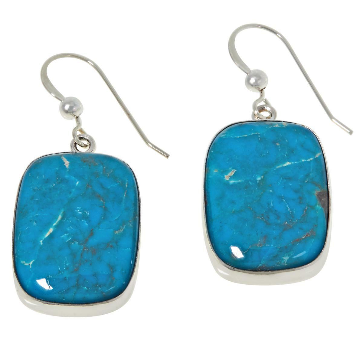 Jay King Sterling Silver Cloudy Mountain Turquoise Drop Earrings ~