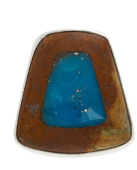 Jay King Sterling Silver Framed Turquoise Earrings (374238336940)