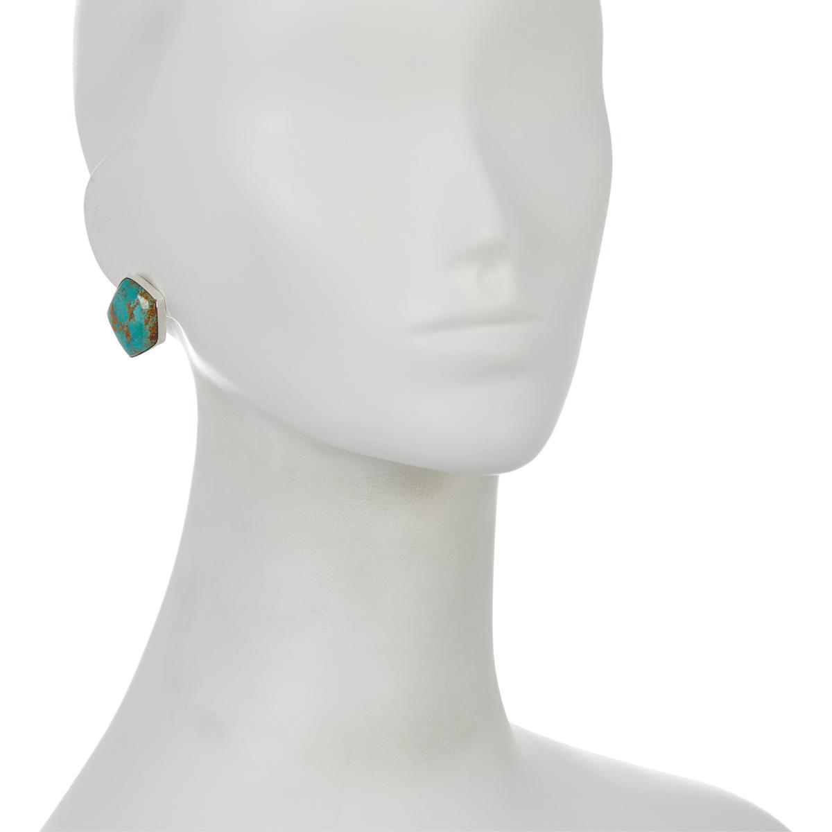 Jay King Sterling Silver Blue,Green Turquoise Stud Earrings