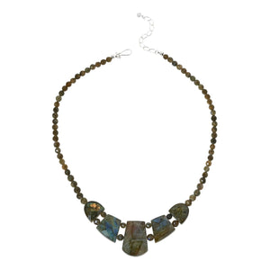 Descriptive image text