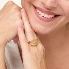 Bellezza Bronze Shiny Placket Ring, Size 6