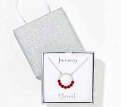 Diamonique Sterling Silver Birthstone January Circle Pendant Necklace