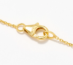 David Markstein Sterling Silver Miraculous Medal Medallion 18" Necklace