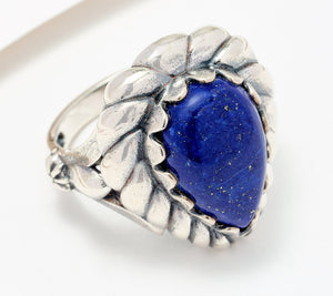 Descriptive image text